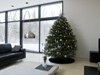 dec10homespunweb.jpg