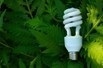 energy_efficient_bulb