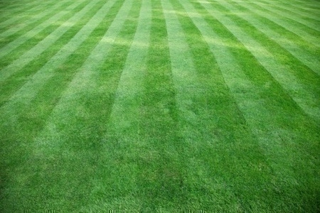 lawn