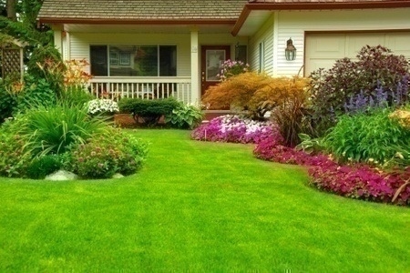 curb_appeal_manicured_yard