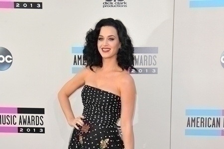 The 2013 American Music Awards Arrivals