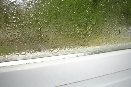 window_condensation