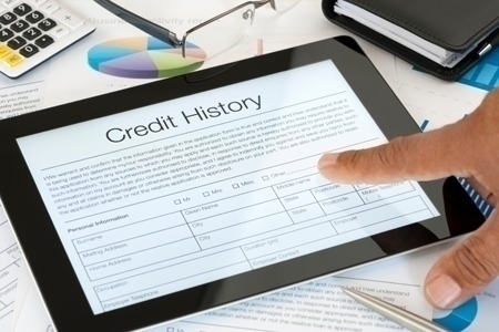 Close up of Credit History form
