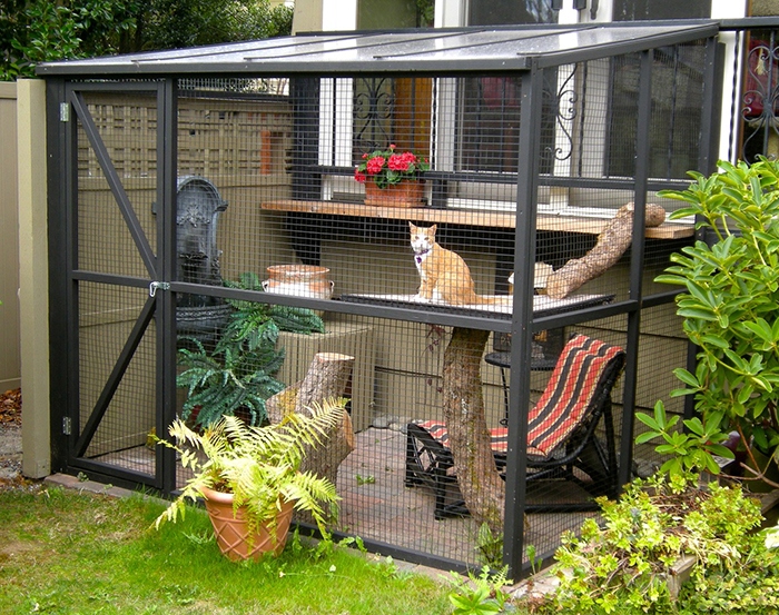 catio_1