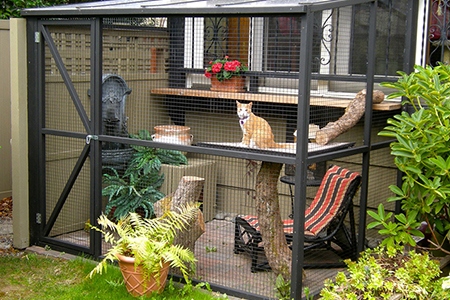 catio_1_450x300