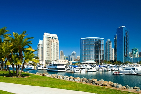 San Diego skyline with palm trees and marina