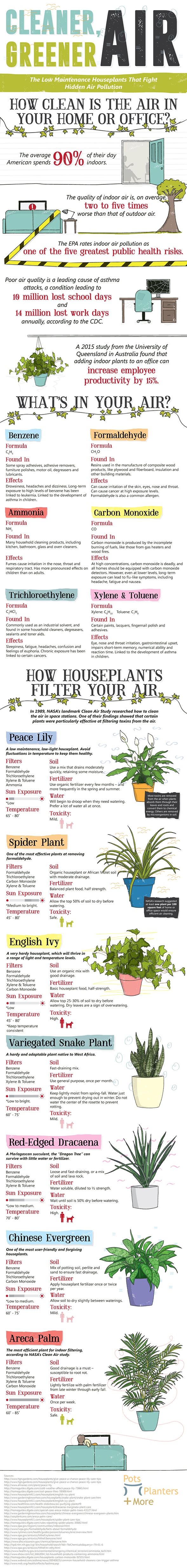 Clean_air_plants_infographic