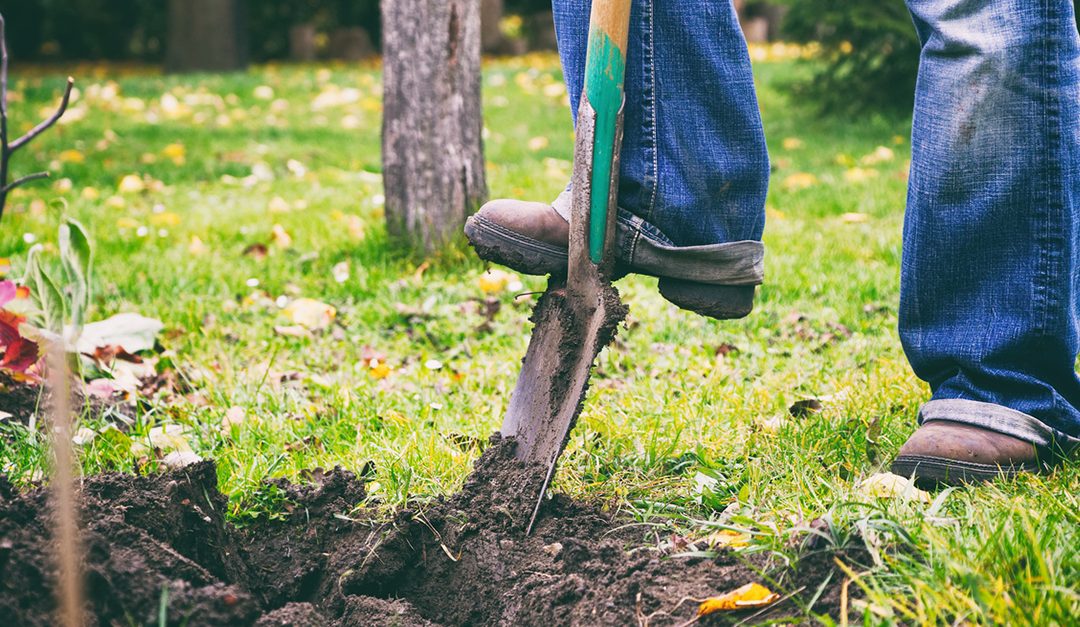 Give Your Garden Some TLC Before Spring — RISMedia