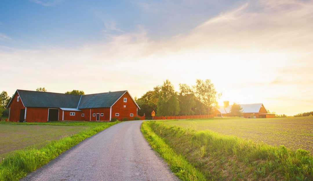 Pros And Cons Of Choosing A House In A Rural Area Rismedia