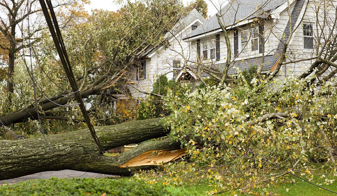 Hurricanes Take a Toll on Homes: How Homeowners Can Protect Their Biggest Investment