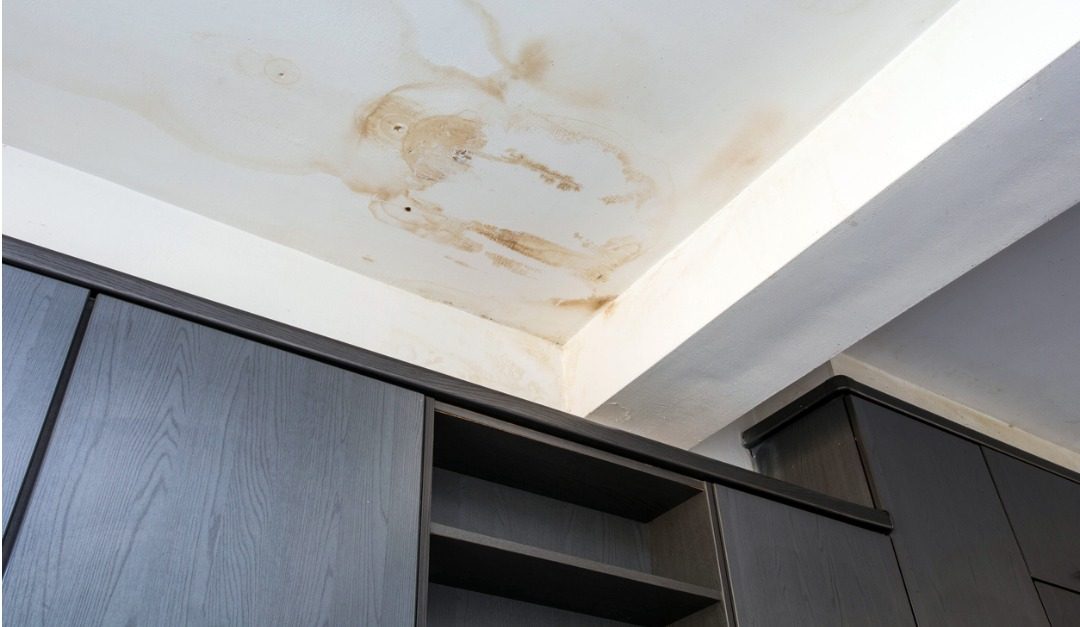 Signs That Your House Has Hidden Water Damage Rismedia