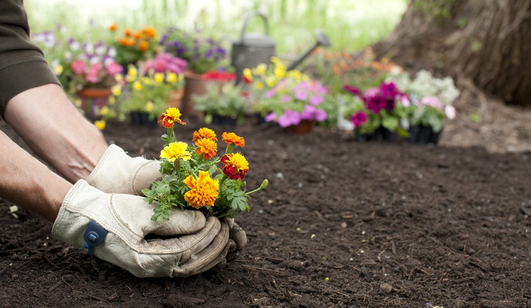 Mayo Clinic Minute: Health Benefits of Gardening