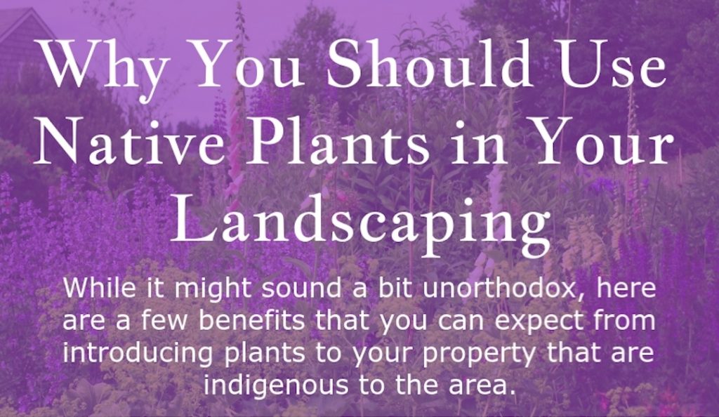 Why You Should Use Native Plants In Your Landscaping — Rismedia 4329