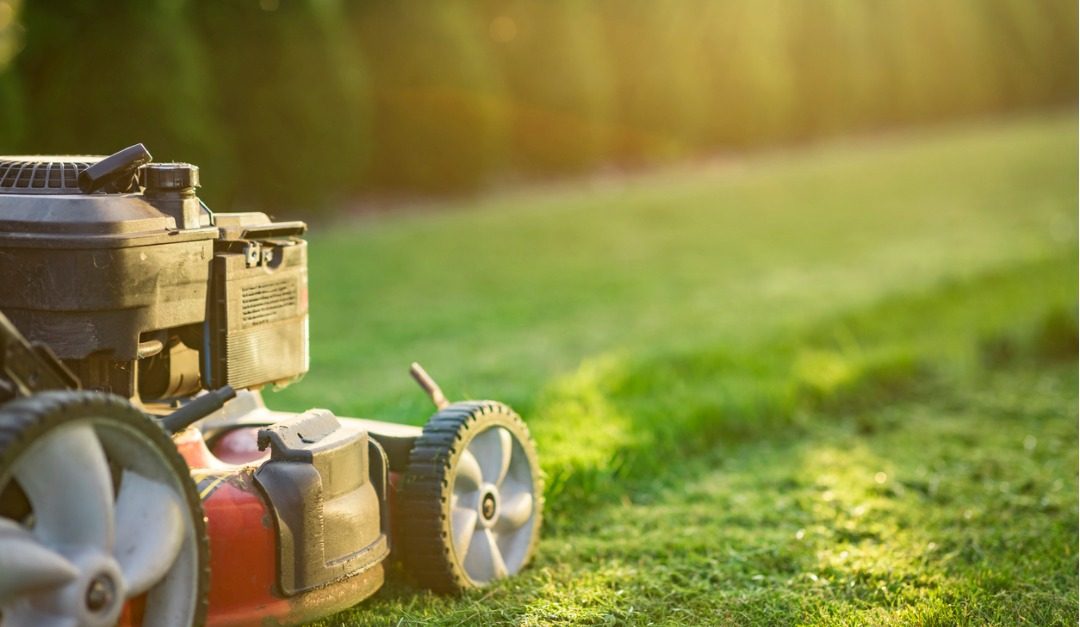 5 Mowing Mistakes To Avoid For A Healthy Beautiful Yard