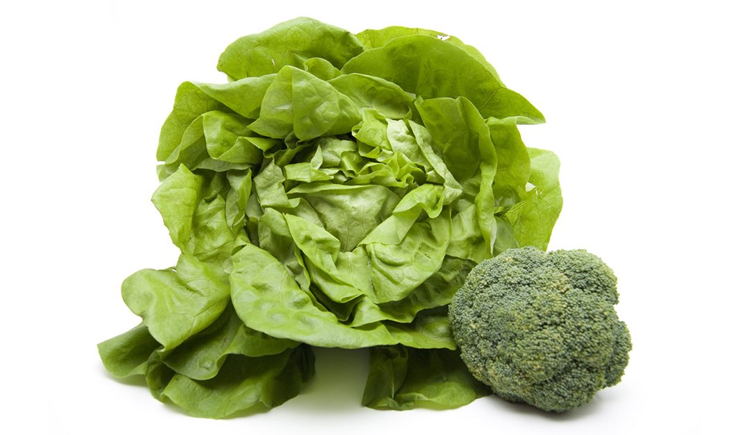 Recipe Broccoli and Butterhead Lettuce Make for Easy, Artful Soup and