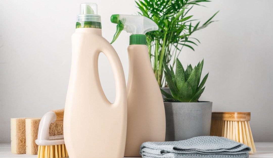 4 Types of Organic Home Products for a Healthier Living Space — RISMedia
