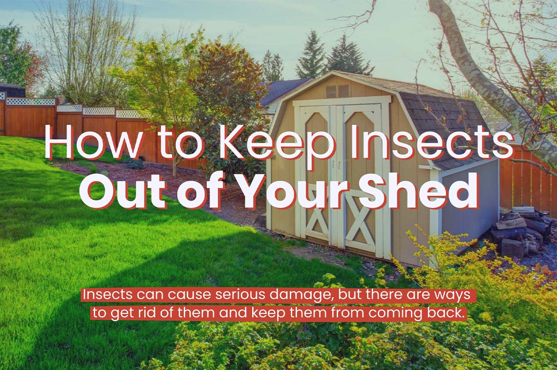 How To Keep Insects Out Of Your Shed RISMedia