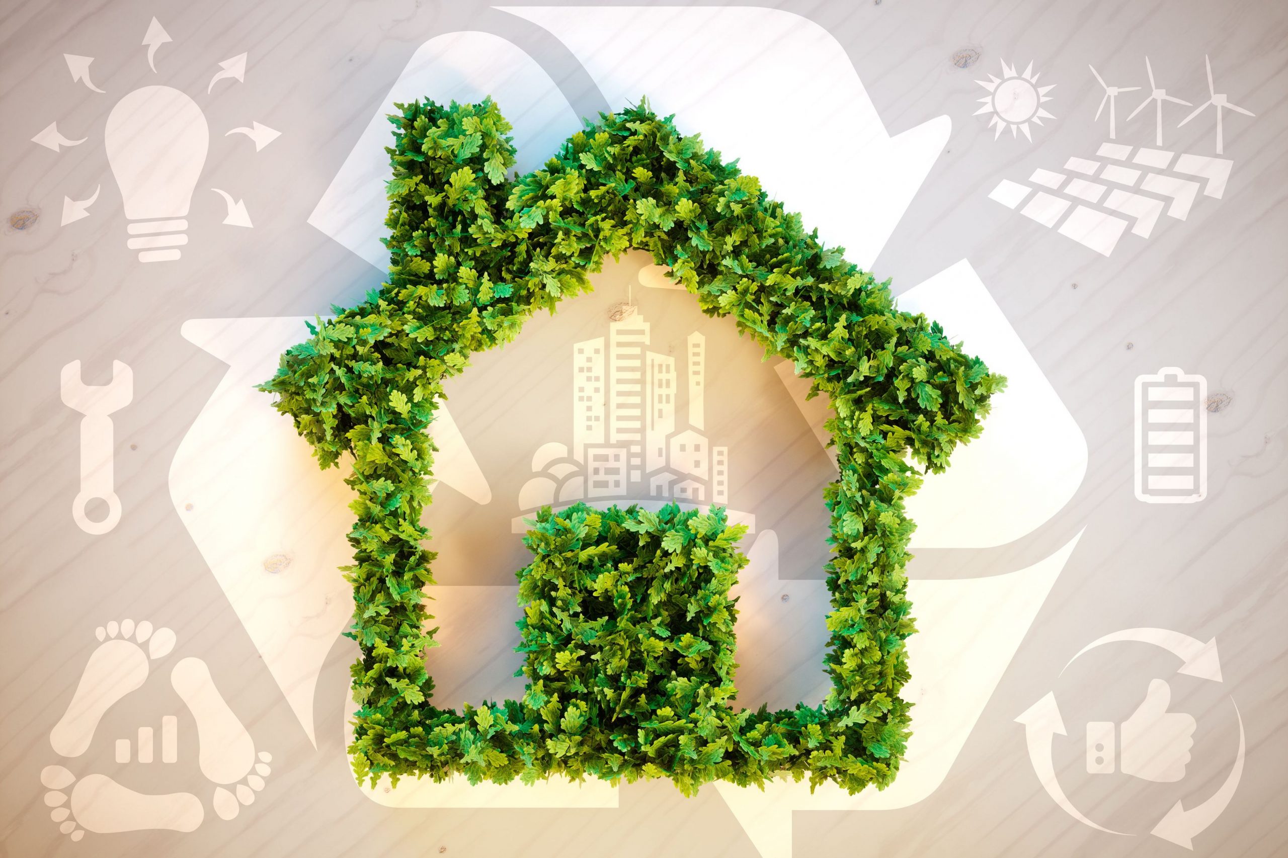 What To Look For In An Eco-friendly Home — Rismedia